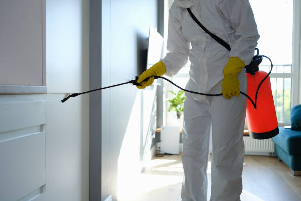 Best Mold Cleaning Services  in West Cape May, NJ